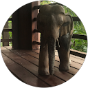 Larissa Rapisardi profile picture